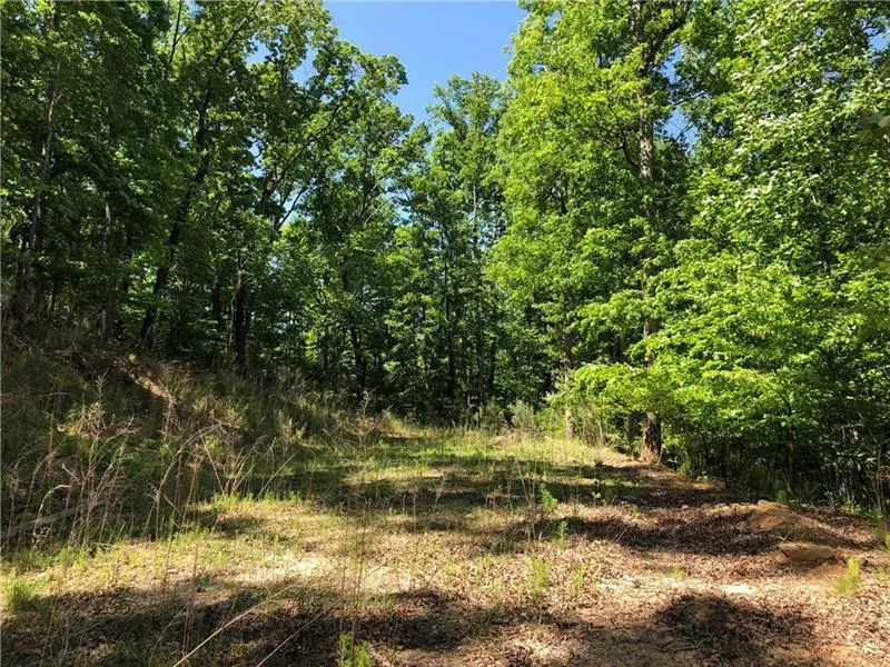 937 Altamira Lane Nw, Atlanta, Georgia 30350, ,Land,Sold,937 Altamira Lane Nw,6059873