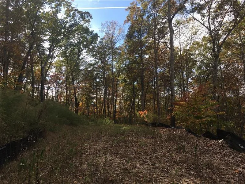 937 Altamira Lane Nw, Atlanta, Georgia 30350, ,Land,Sold,937 Altamira Lane Nw,6059873