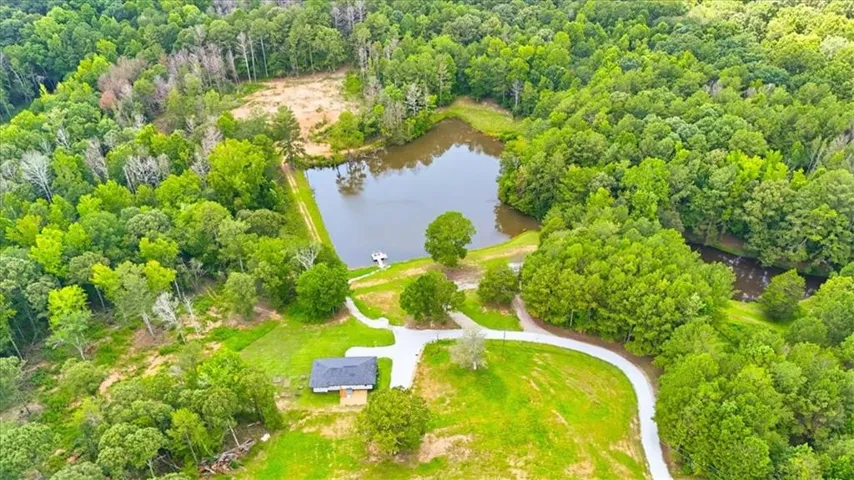 Expansive natural setting featuring a private pond, mature trees, a winding driveway, and a residential structure with a dark roof