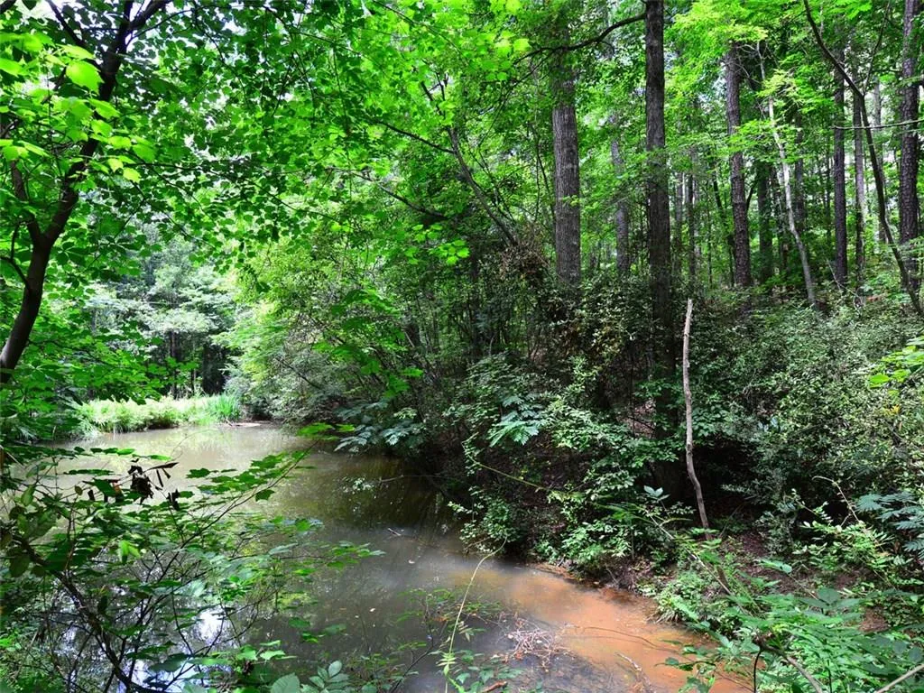 20 Ball Creek Way, Sandy Springs, Georgia 30350, ,Land,Sold,20 Ball Creek Way,5766547
