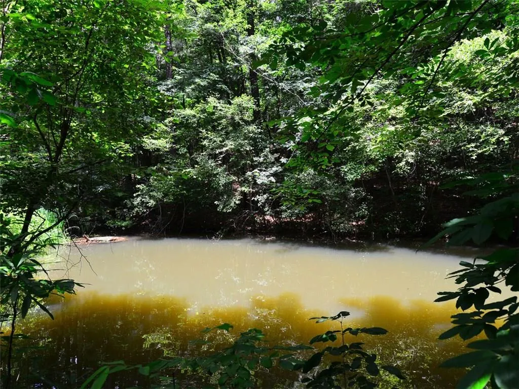 20 Ball Creek Way, Sandy Springs, Georgia 30350, ,Land,Sold,20 Ball Creek Way,5766547