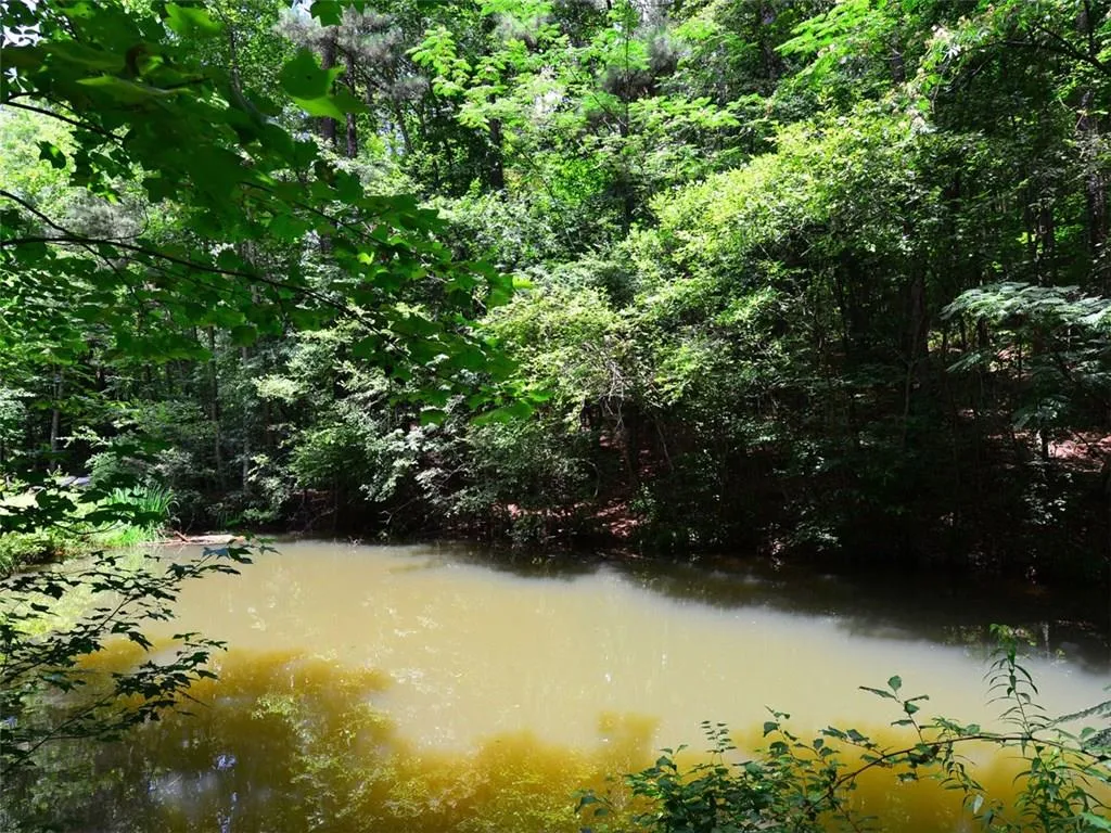 20 Ball Creek Way, Sandy Springs, Georgia 30350, ,Land,Sold,20 Ball Creek Way,5766547