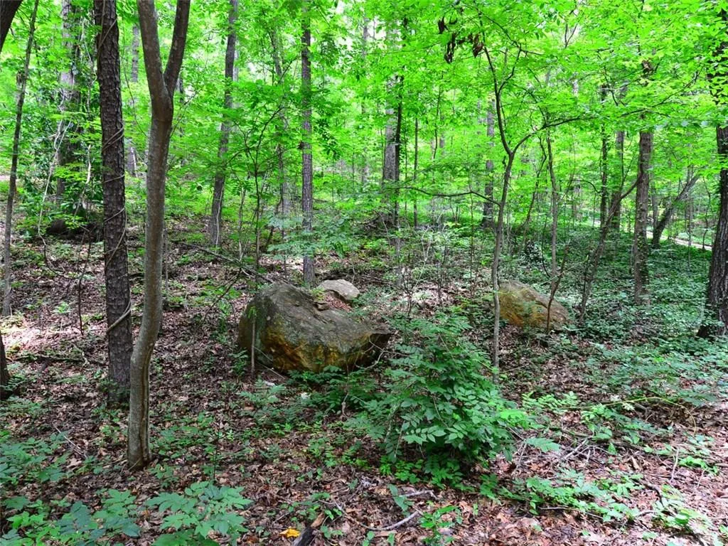 20 Ball Creek Way, Sandy Springs, Georgia 30350, ,Land,Sold,20 Ball Creek Way,5766547