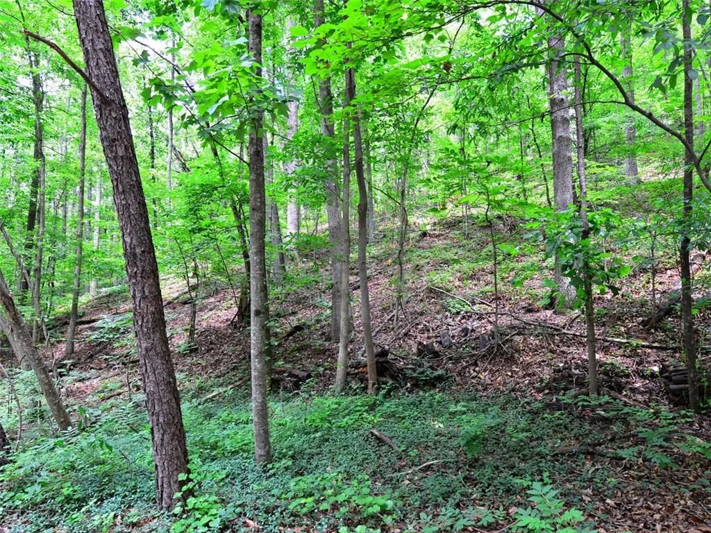 20 Ball Creek Way, Sandy Springs, Georgia 30350, ,Land,Sold,20 Ball Creek Way,5766547