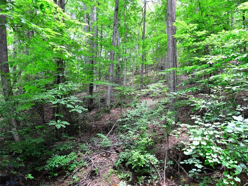 20 Ball Creek Way, Sandy Springs, Georgia 30350, ,Land,Sold,20 Ball Creek Way,5766547