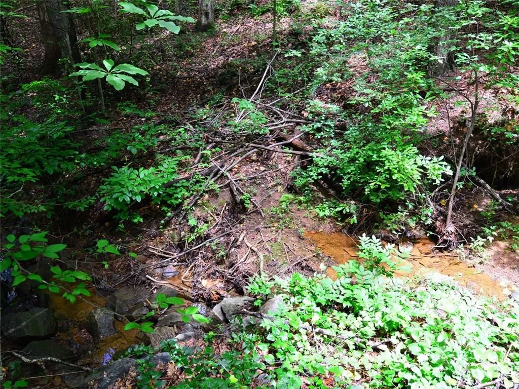 20 Ball Creek Way, Sandy Springs, Georgia 30350, ,Land,Sold,20 Ball Creek Way,5766547