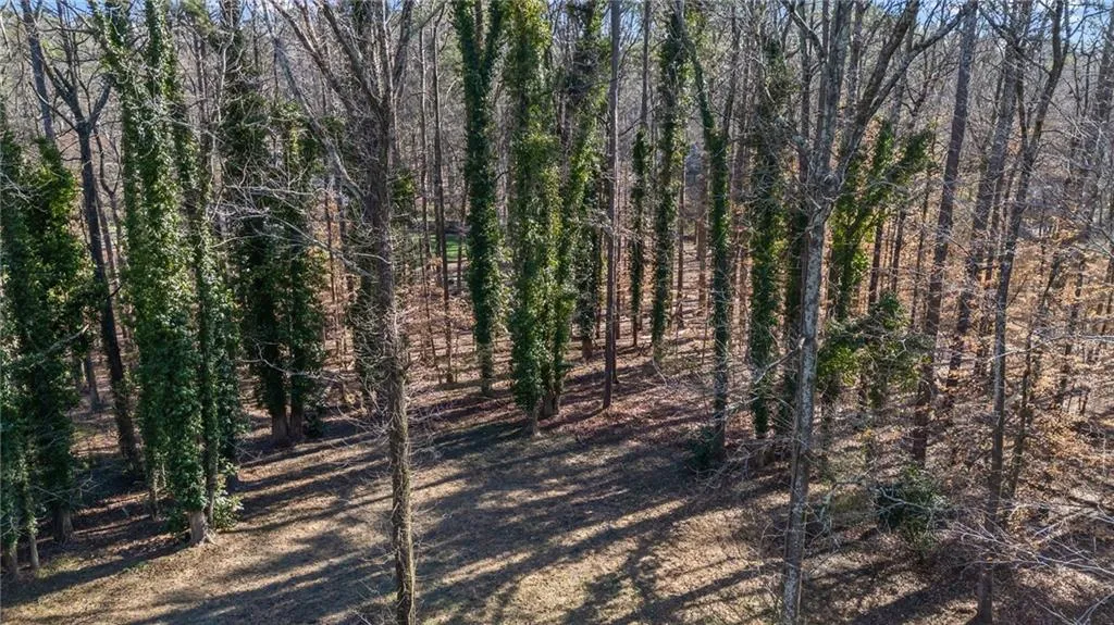 4055 Spalding Drive, Atlanta, Georgia 30350, ,Land,For Sale,4055 Spalding Drive,7723328