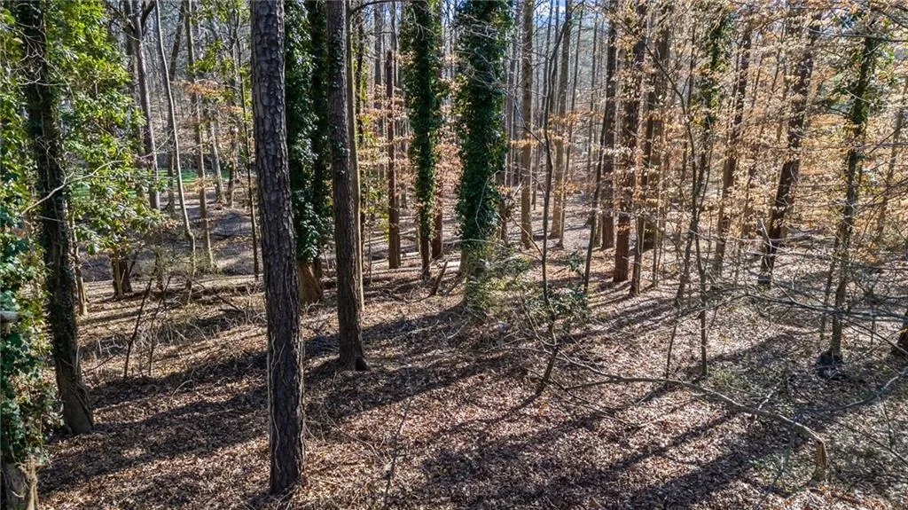 4055 Spalding Drive, Atlanta, Georgia 30350, ,Land,For Sale,4055 Spalding Drive,7723328