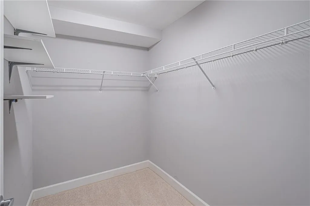 Spacious closet with carpet flooring