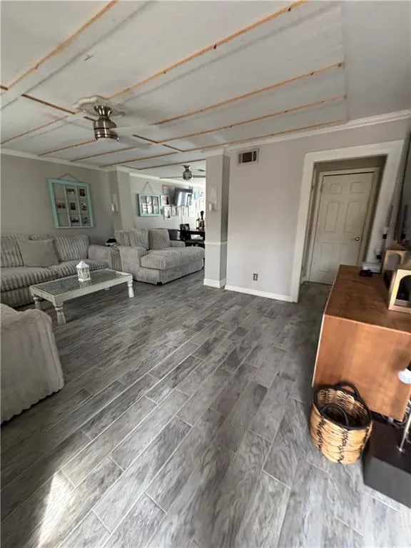 Living area featuring a ceiling fan and wood finish floors