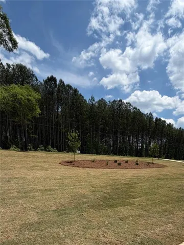 1719 Cornish Mountain Ch Road, Oxford, Georgia 30054