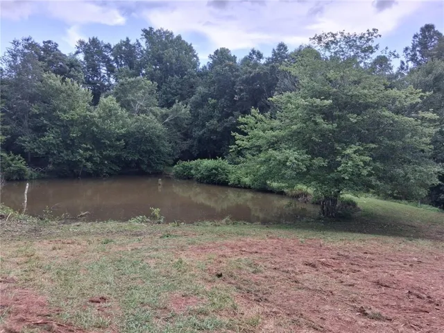 Natural pond feature surrounded by established trees and lush foliage