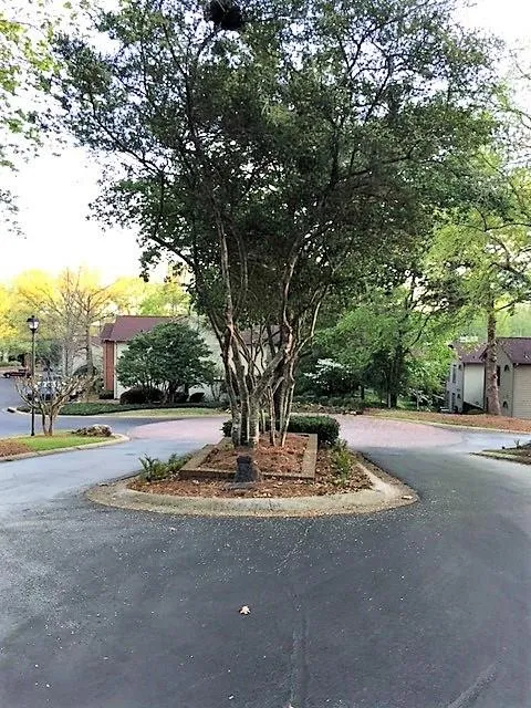 405 Garden Court, Atlanta, Georgia 30328, 3 Bedrooms Bedrooms, ,2 BathroomsBathrooms,Residential,Sold,405 Garden Court,5828797