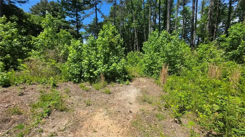 6099 Old Alabama Road Sw, Austell, Georgia 30168