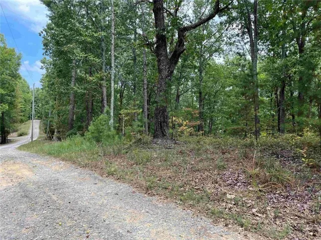 32 Antler Court, Ranger, Georgia 30734