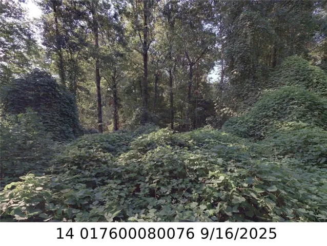 00 Newman Place Nw, Atlanta, Georgia 30318