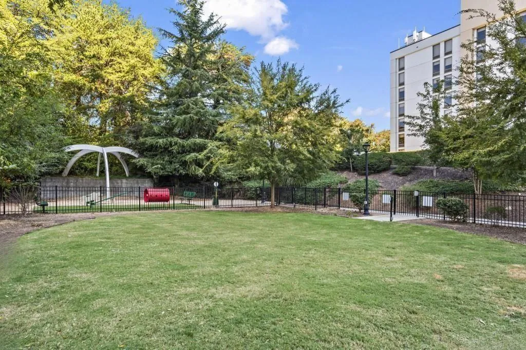 Dog Park