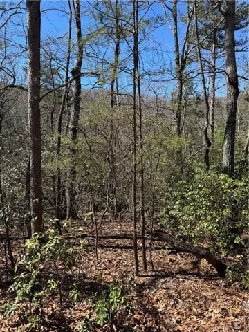 5504 Red Fox Drive, Big Canoe, Georgia 30143