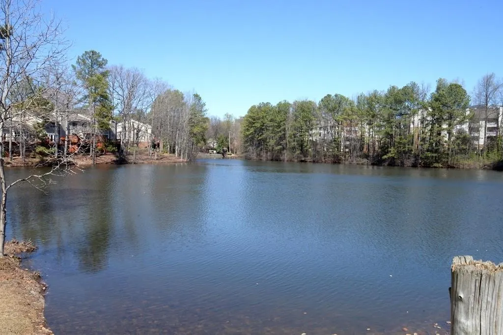 63 Dunwoody Springs Drive Unit D, Atlanta, Georgia 30328, 3 Bedrooms Bedrooms, ,2 BathroomsBathrooms,Residential,Sold,63 Dunwoody Springs Drive Unit D,6574196