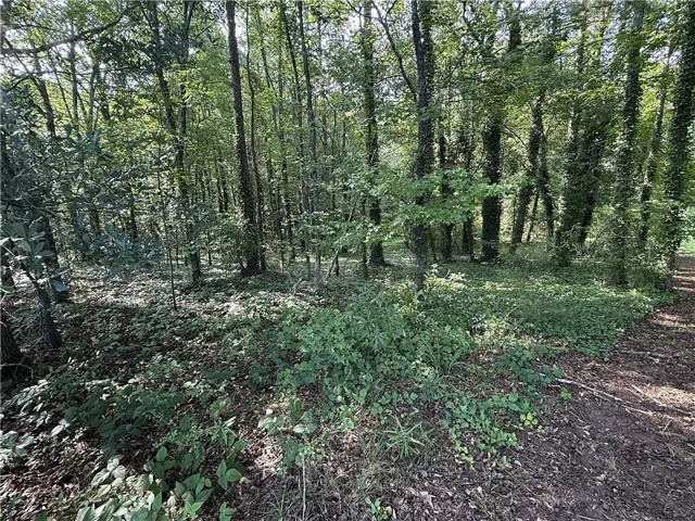 Wooded landscape featuring a diverse tree canopy and undergrowth