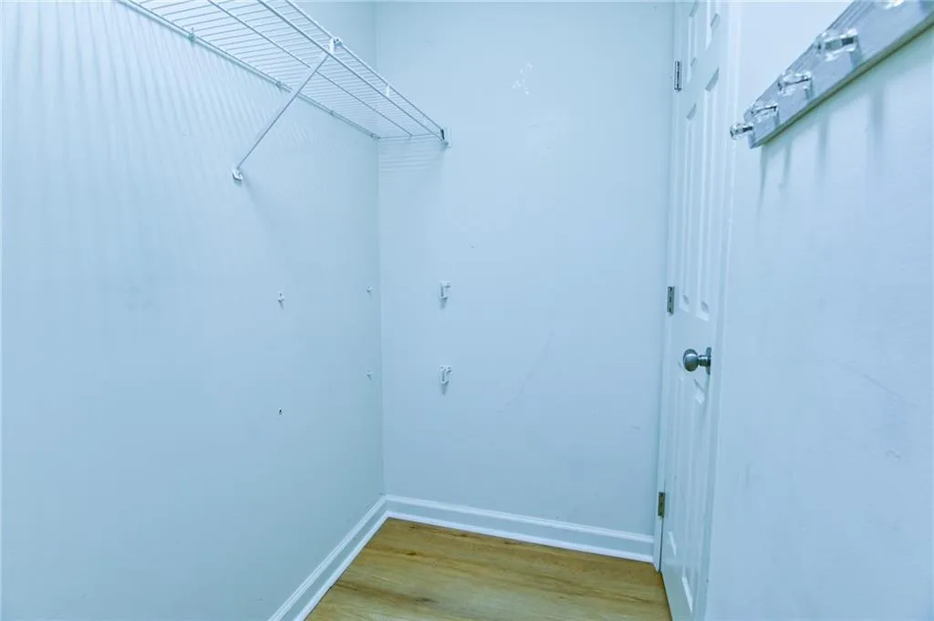 Spacious closet with wood-type flooring
