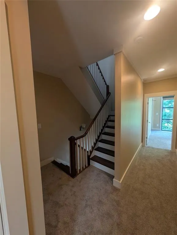 Staircase with carpet and crown molding