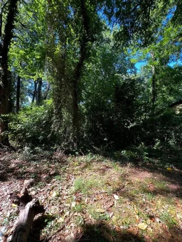 0 Dalton Street Se, Atlanta, Georgia 30315