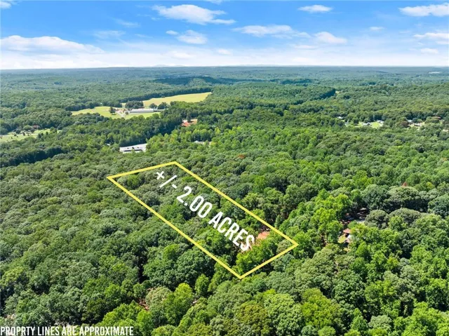 Expansive wooded acreage featuring dense tree coverage