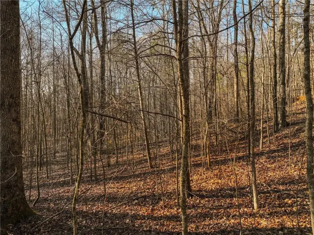 Wooded lot featuring mature trees and sloped terrain