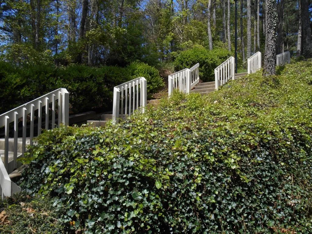 1307 Natchez Trace Unit 1307, Sandy Springs, Georgia 30350, 2 Bedrooms Bedrooms, ,1 BathroomBathrooms,Residential,Sold,1307 Natchez Trace Unit 1307,5672813 1307 Natchez Trace Unit 1307, Sandy Springs, Georgia 30350, 2 Bedrooms Bedrooms, ,1 BathroomBathrooms,Residential,Sold,1307 Natchez Trace Unit 1307,5672813