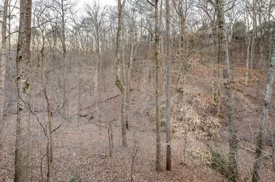 2900 Coles Way, Sandy Springs, Georgia 30350, 4 Bedrooms Bedrooms, ,5 BathroomsBathrooms,Residential,Sold,2900 Coles Way,6842063