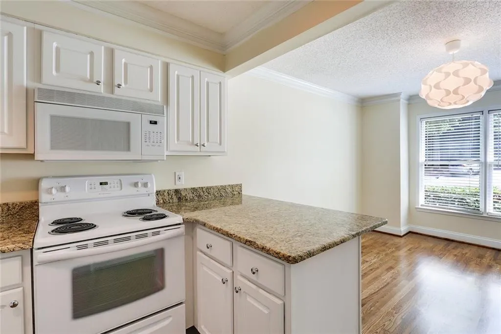 251 Peachtree Hollow Court, Sandy Springs, Georgia 30328, 2 Bedrooms Bedrooms, ,2 BathroomsBathrooms,Residential,Sold,251 Peachtree Hollow Court,5713767