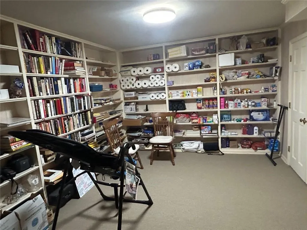 basement storage room,