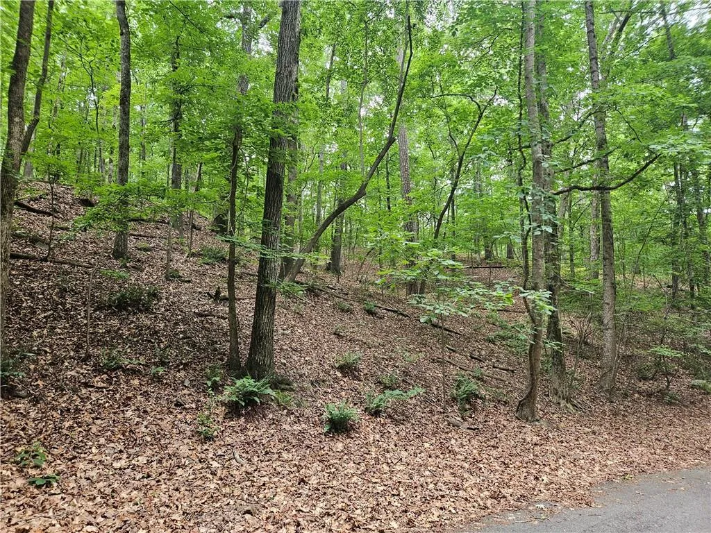 View of woods