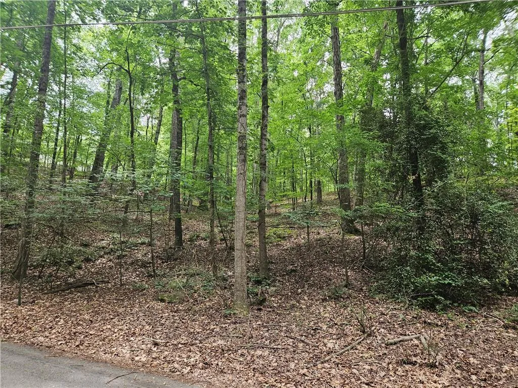 13 Ball Creek Way, Atlanta, Georgia 30350, ,Land,Sold,13 Ball Creek Way,7591377
