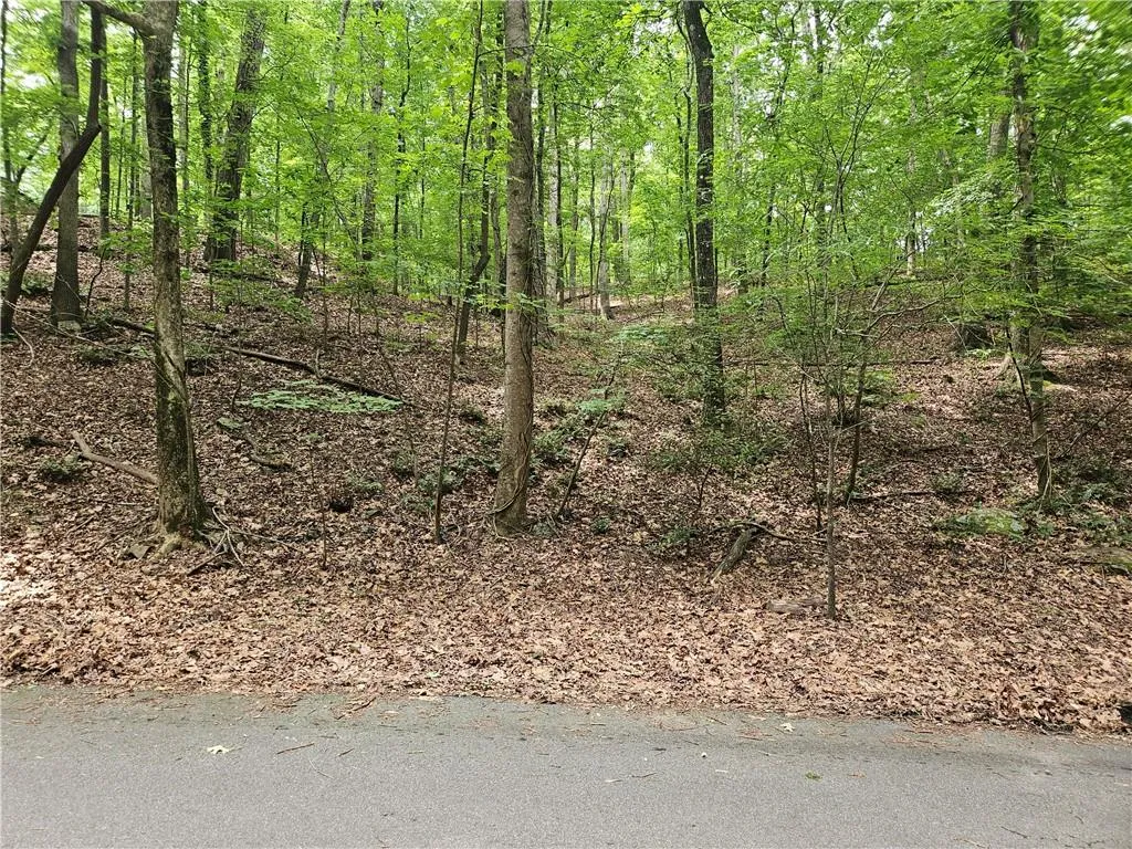 View of undeveloped land