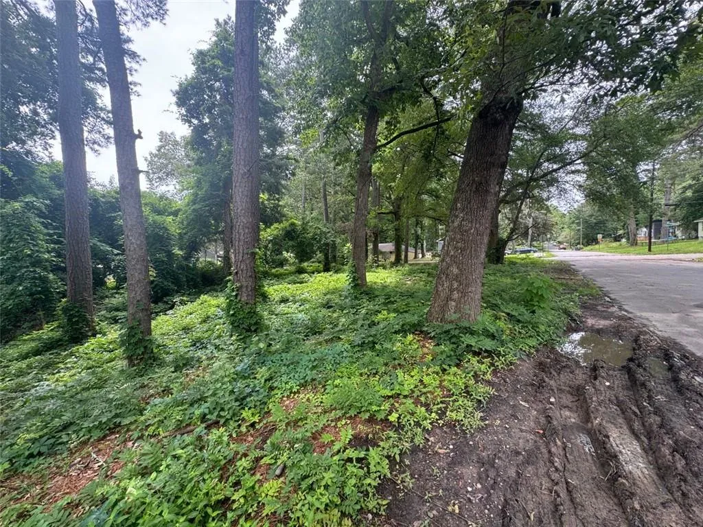 2529 Oldknow Drive Nw, Atlanta, Georgia 30318, 0 ,Land,For Sale,2529 Oldknow Drive Nw,7593902