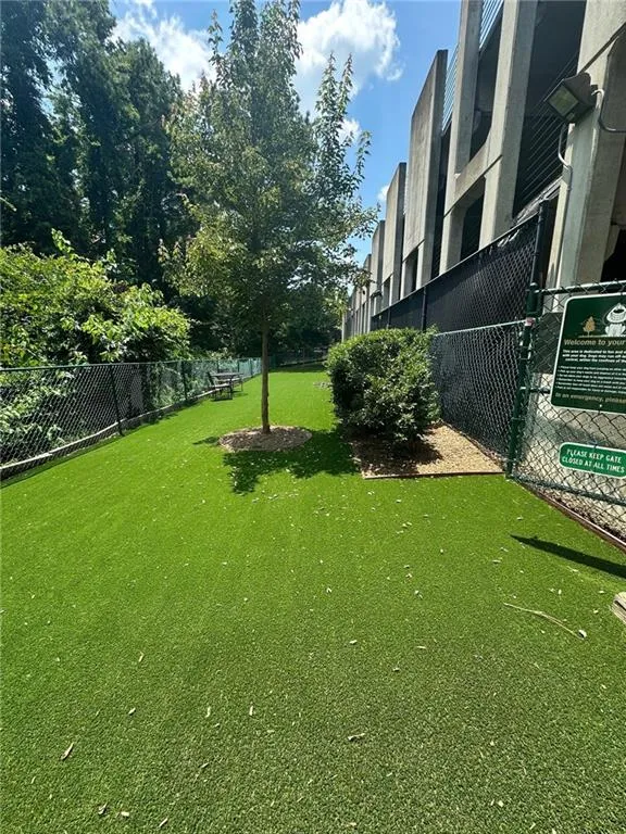 Dog Park