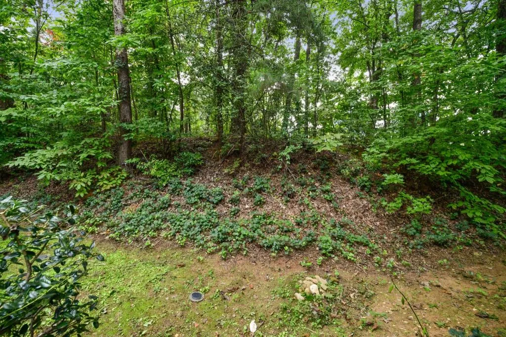 503 Garden Court, Sandy Springs, Georgia 30328, 3 Bedrooms Bedrooms, ,2 BathroomsBathrooms,Residential,Sold,503 Garden Court,6786054