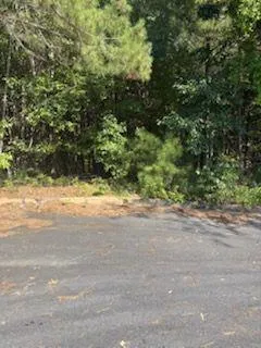 20 Ratliff Drive, Covington, Georgia 30016