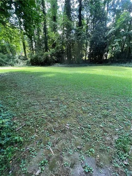 View of green lawn featuring view of scattered trees
