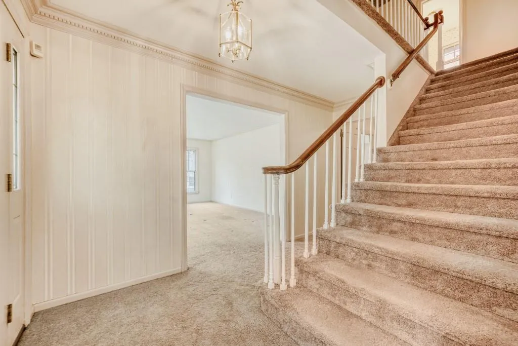 Staircase with crown molding and carpet floors