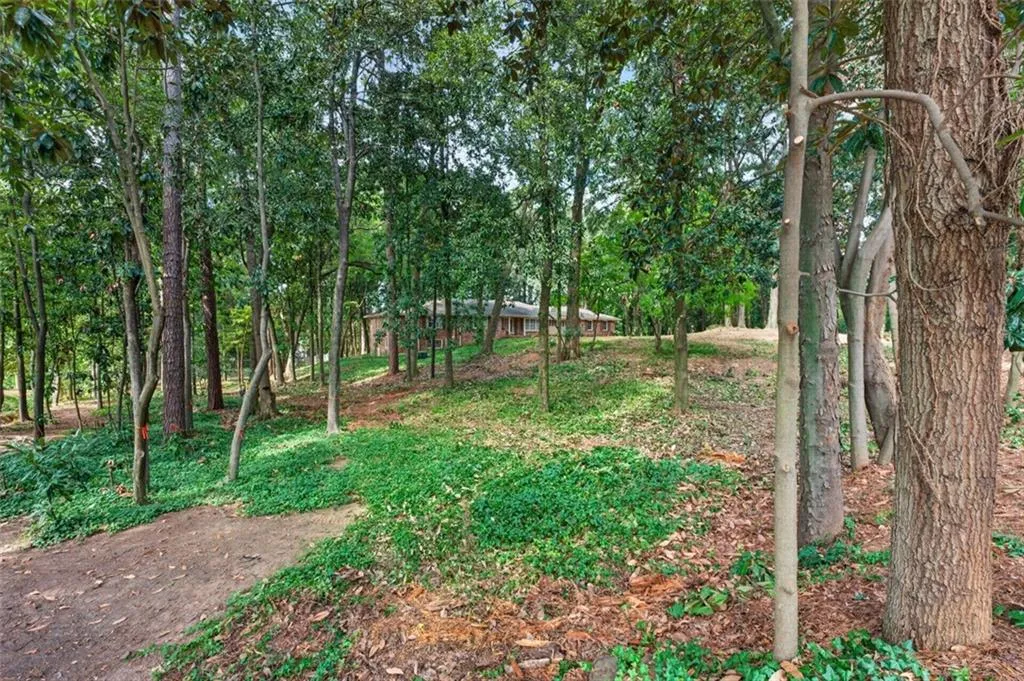 Wooded landscape featuring mature trees and sloped terrain