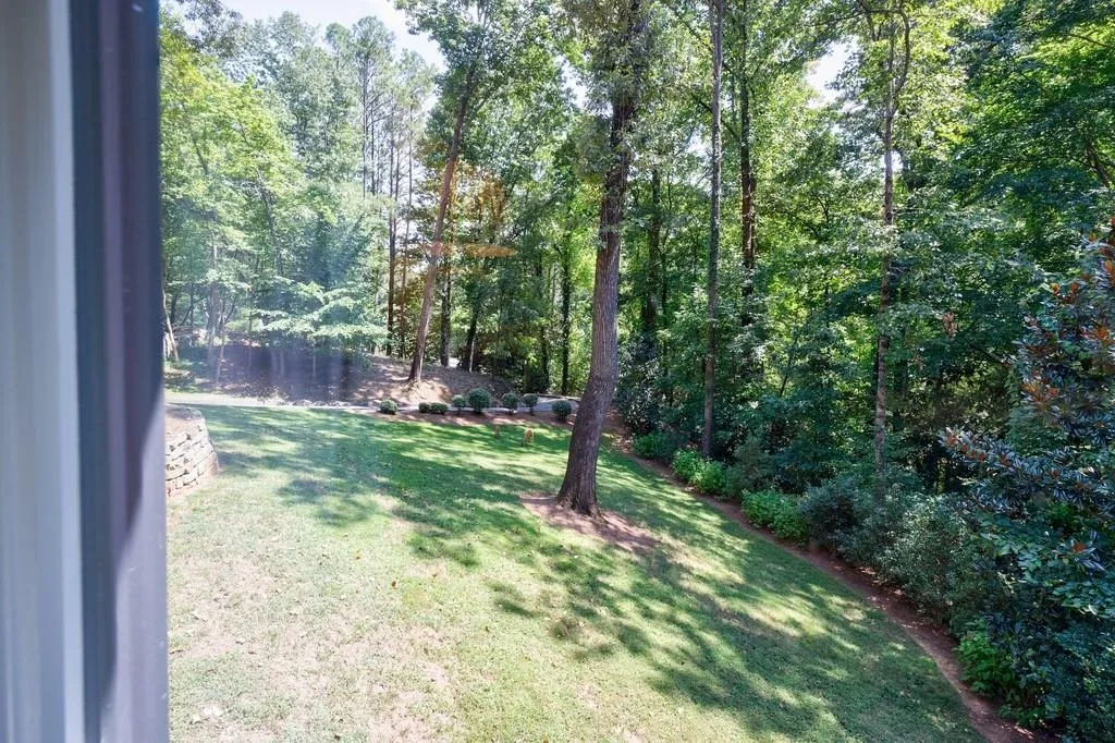 Deer in the front yard Deer in the front yard