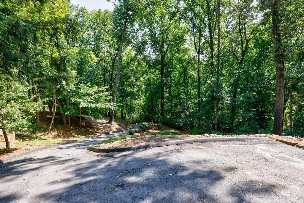 Deer in the front yard Deer in the front yard