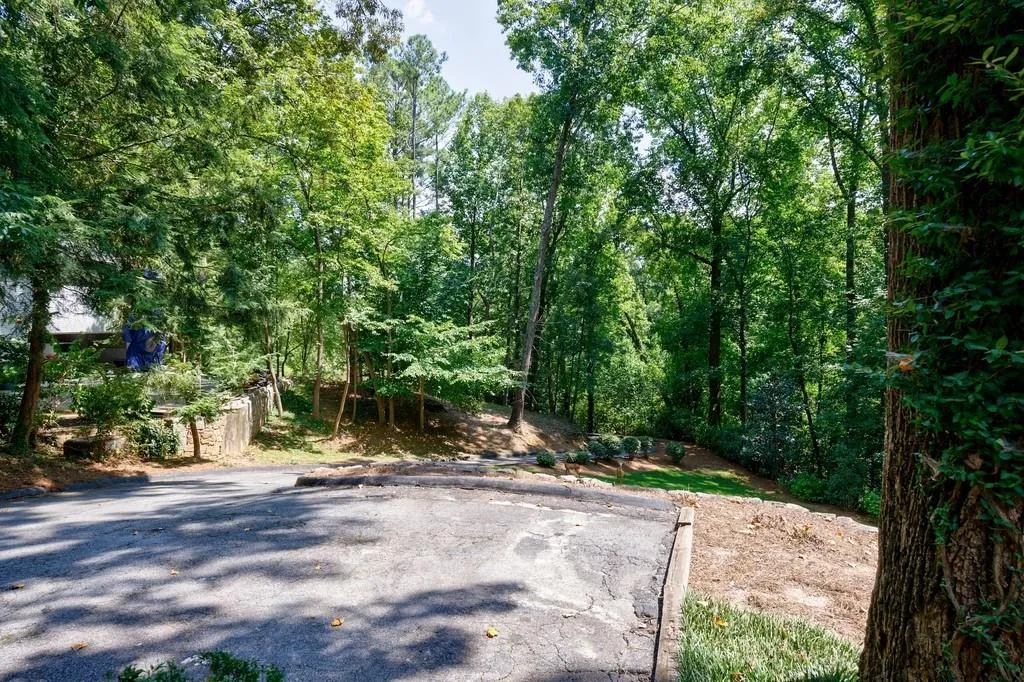 Deer in the front yard Deer in the front yard