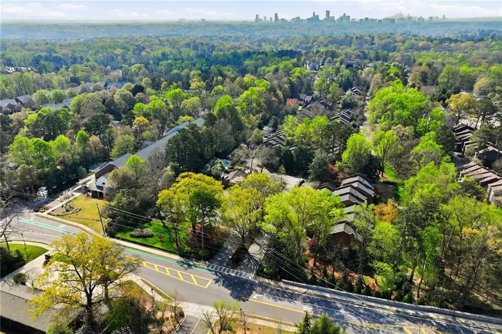 Bird's eye view of skyline