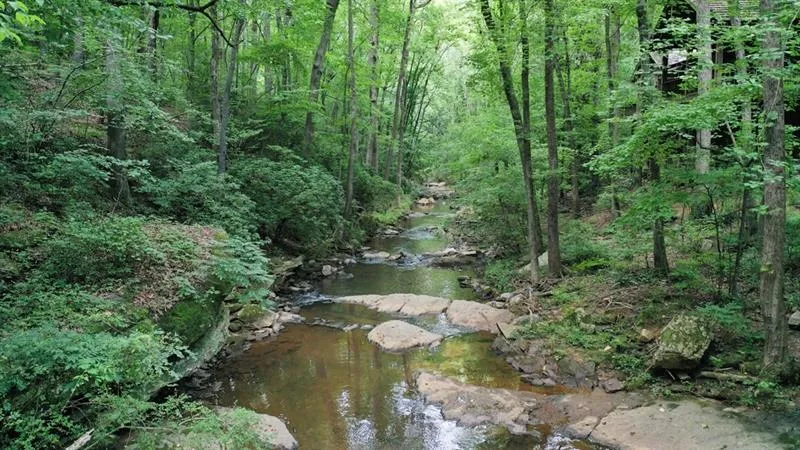 6 Ball Creek Way Ne, Sandy Springs, Georgia 30350, ,Land,Sold,6 Ball Creek Way Ne,6637967