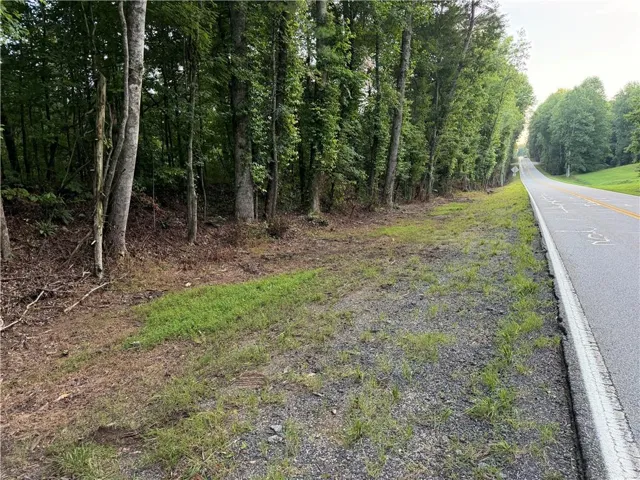 Wooded parcel with mature trees and direct road frontage