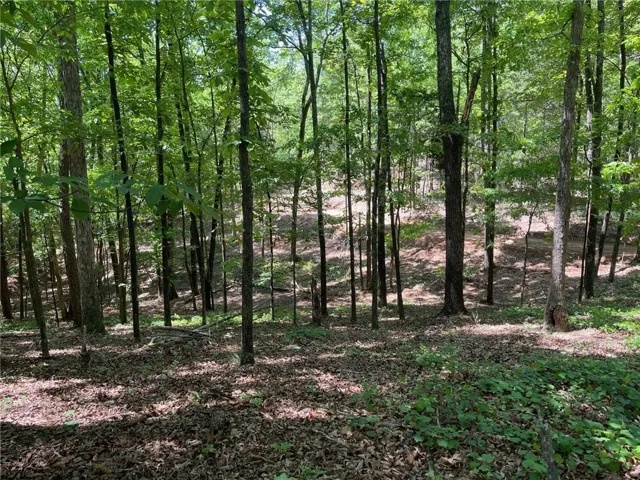Wooded privacy and multiple building areas